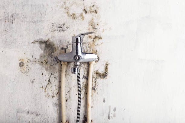 Best Residential Mold Remediation in Mountain Park, GA